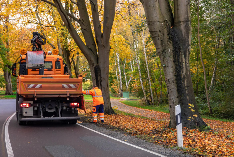 A Simple Guide on Choosing the Best Tow Truck Services in Your Area